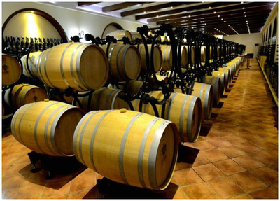 【福利貼】快樂成長夏令營火熱招募中!