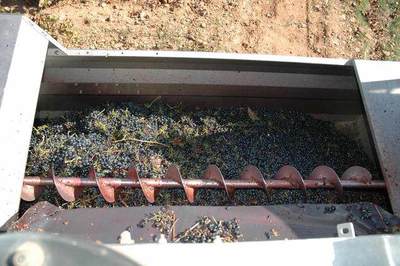 紅酒與葡萄酒 名稱(chēng)的由來(lái)與工藝的區(qū)別